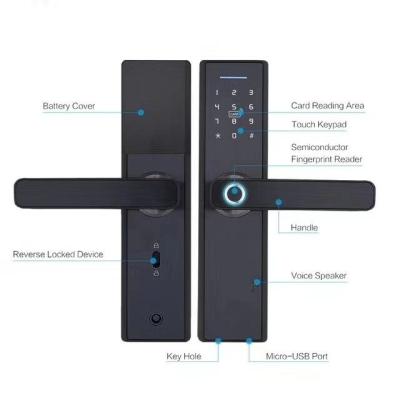 China New Popular China RFID Aluminum Alloy Door Fingerprint Access Control Smart Digital Lock With Free APP SFX1B for sale