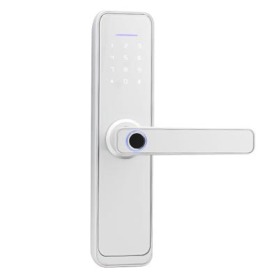 China Ttlock Luxury Brand New Biometric Deadbolt Cabinet Wifi Door Camera Diary Fingerprint Smart Tuya Lock for sale