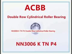 NN3006 K TN P4 Double Row Cylindrical Roller Bearing