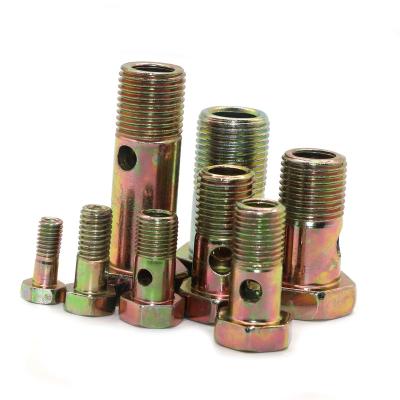 China ZM Hydraulic Carbon Steel Male Thread Hollow Bolt M20 High Pressure Banjo Bolt With 2 Hole for sale