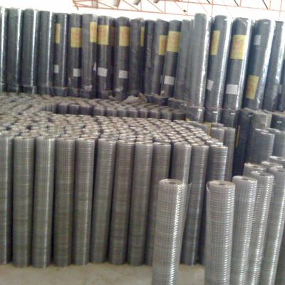 China Mesh Galvanized Metal Welded Wire Protective Mesh Roll From Anping Factory for sale