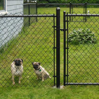 China Easily Assembled Large Size Privacy Pet House Dog Kennel Galvanized PVC Coated Chain Link Fence for sale