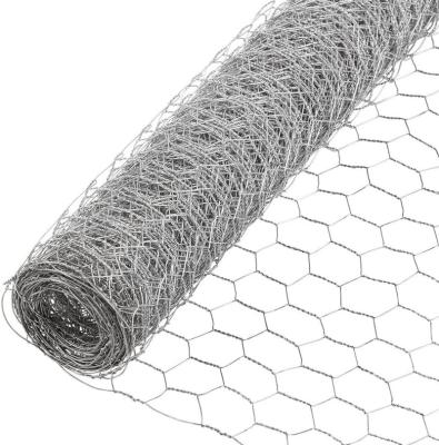 China Easily Assembled Galvanized Decorative Hexagonal Wire Mesh Poultry Netting Chicken Fence Netting for sale