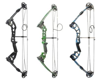 China Junxing M131 Hunting Hunting Fishing Competition Compound Bow Set For Archery Arrow 30-55lbs Shooting Aluminum Riser Laminated Limbs for sale