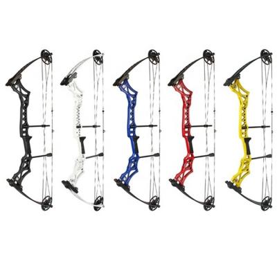 China Junxing M108 Hunting Hunting Fishing Competition Compound Bow For Shooting Archery Arrow 30-55lbs Magnesium Alloy Riser Laminated Limbs for sale