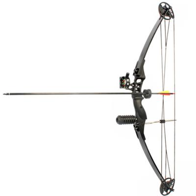 China Junxing c ompound strong outdoor straight adjustable bow archery M183 bow hunting set for sale