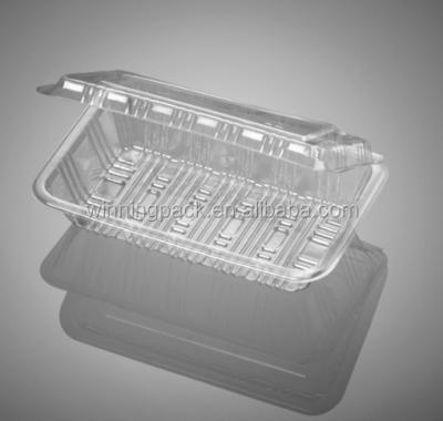 China Food Use Transparent Disposable Sushi Plastic Frozen Tray for sale