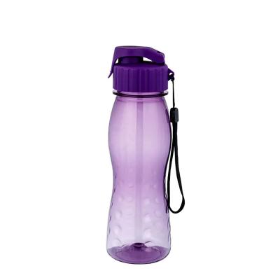 China Bottlesport Sustainable Gradient 500Ml Cycling Sport Fashion Plastic Water Bottle for sale