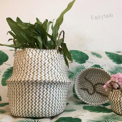 China Viable Bulk Native White Vegetable Plankton Flower Pot Wave Plant Plankton Basket Maker for sale