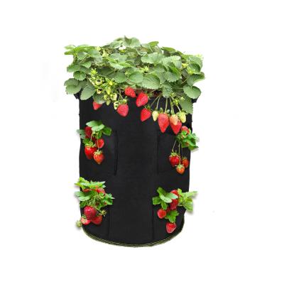 China Wide Mouth Garden Strawberry Biodegradable Recyclable Cloth Felt Pe Plastic Plant Vertical Greening Grow Bags for sale