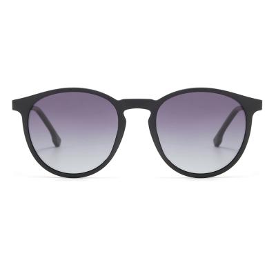 China TR Fashion Sunglasses Italy Fashion Oversized Round Front Sunglasses for sale