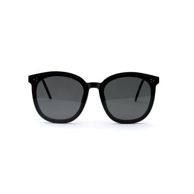 China Fashion Sunglasses Bulk Metal Frame Polarized High Quality TR Square Leg Sunglasses Men's Double Beam Wholesaler for sale