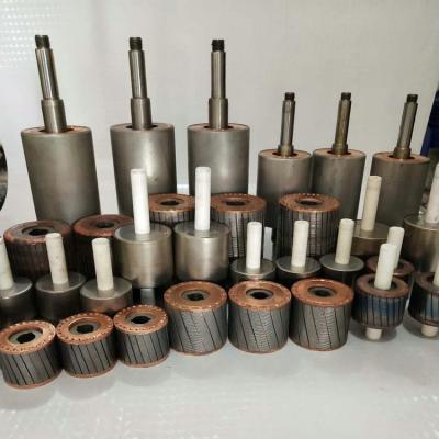 China DC Motors AC Motor Customizable Cast Copper Motor Rotor for sale