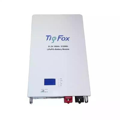 China Home Backup Power Wholesale Tig Fox 48V Lithium Ion Battery 5KWH 10KWH 48V 100Ah  200Ah LiFePO4 Battery 48V Solar System Lithium Battery for sale