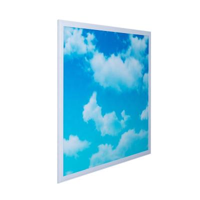 China Industrial Blue Sky Led Artificial Panel Light Skylight Custom Fit Your Lighting Application for sale