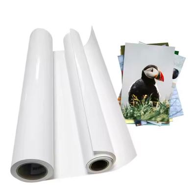 China Waterproof Instant-Dry Glossy 260gsm Cast Coated Photo Paper Roll For Dye Ink Printing for sale