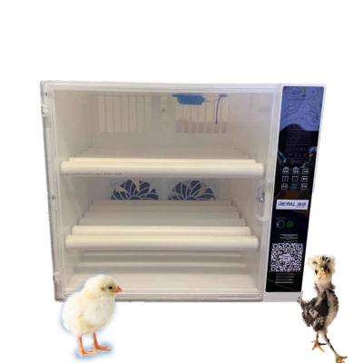 China Full Automatic Farms Incubators Mini Hatching 60 Eggs Doubles Incubator Power Supply Agricultural Machinery for sale