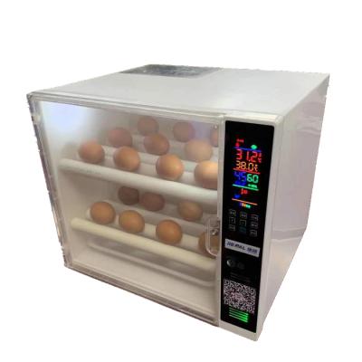China Fully Automatic Small Ostrich Farms Mini Turkey Goose 48 Egg Incubator For Sale for sale