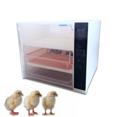 China MAJESTIC Automatic Egg Farms ABS 60 Capacity Mini Incubator for sale