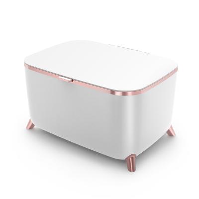 China THERMOELECTRIC Portable Beauty Fridge 6l Mini Fridge Beauty For Home for sale