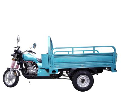 China New design cargo tricycle sector many colors motorized tricycle for cargo for logistics for sale