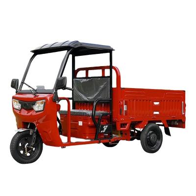 China Electric Tricycle with Shed Household Cargo Climbing Truck Load Electric Vehicles for sale