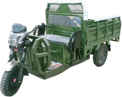 China Electric Tricycle Cargo Household and Farm Three-Wheeled Truck for Express Delivery for sale