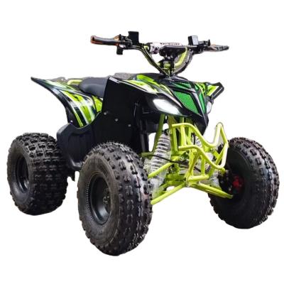 China 1130*590*730mm EEC Spy Racing Atv Highly 800w 4x4 Electric Go Karts for Kids and Adults for sale