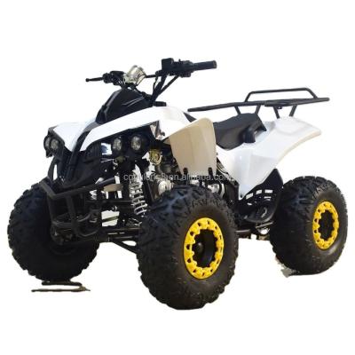 Chine 49cc 50cc 125cc à essence Mini Quad Bike ATV pour enfants ou adultes 1000-1400mm à vendre