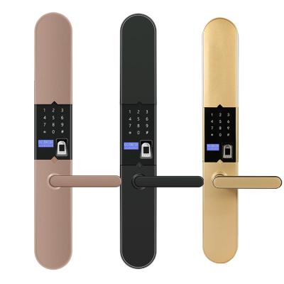 China Anti-peep Code Peep Cover Auto Narrow Fingerprint Hole-proof Smart Top Sliding Main Door Lock for sale