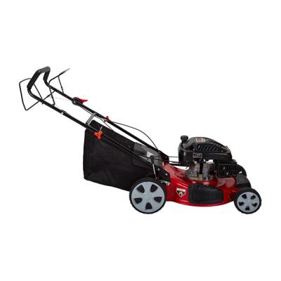 China Hand Push WENXIN 139CC Petrol Lawn Mower Garden Gasoline Lawn Mower For Sale for sale