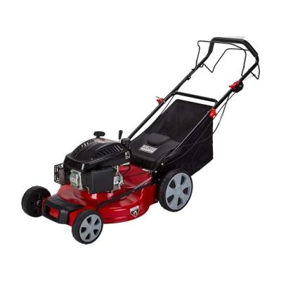 China Hand Push WENXIN 99CC Garden Gasoline Lawn Mower Petrol Lawn Mower For Grass Cutting for sale