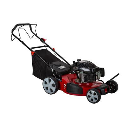 China WENXIN 139CC 2.4KW Garden Petrol Lawn Mower Self Propelled Gasoline Lawn Mower For Sale for sale