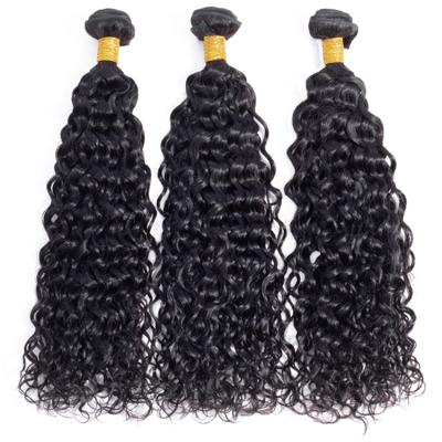 China 100% Brazilian Water Wave Hair Extension Bundles With Closures Hair Extensions for sale