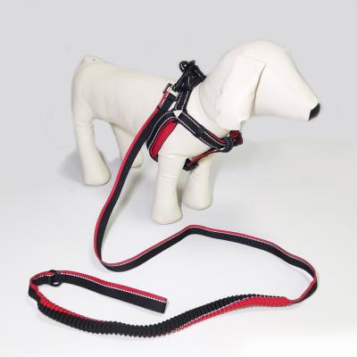 China Hot Selling Stocked Reflective Nylon Strap Made Dog Harness And Leash Set Durable Dog Vest With Leash for sale