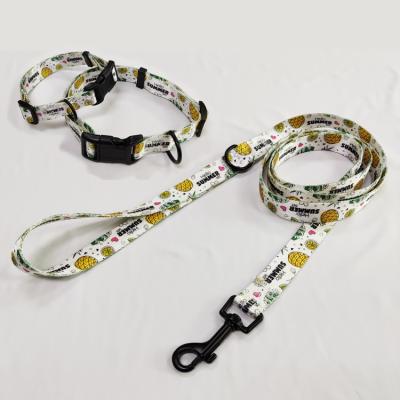 China 2021 High Quality DETACHED Pet Collar Dog Collar Dog Leashes Pet Leashes for sale