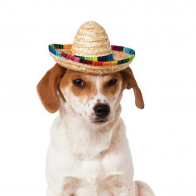 China Stocked Dog Cat Mexican Pet Straw Hat for sale