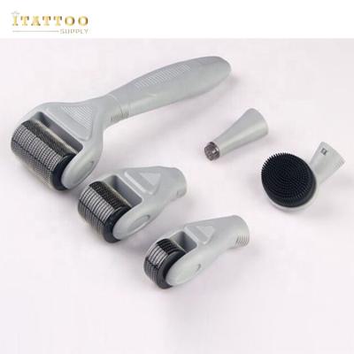 China Anti-puffiness I tattoo 2019 OEM ODM microneedle kit stainless microneedle 6 in 1 derma roller for sale