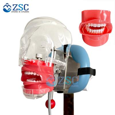 China Metal dental phantom head/simulator teaching unit/dental teaching simulation for sale