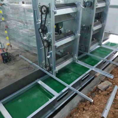 China Heat Resistant Quail Cage Fertilizer Belt Conveyor Machine for sale