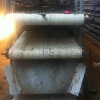 China Farms Fertilizer Belt Conveyor Chicken Quails for sale