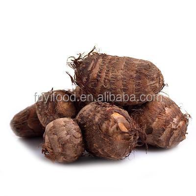 China Fresh Colocasia / Fresh Cheap Price Export To Middle East Fresh Taro In Bulk for sale