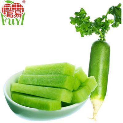 China 2016 fresh new chinese fresh green price of radish for sale