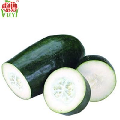 China Hotsale Fresh Chinese Winter Melon for sale