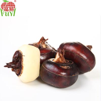 China Water chestnut/China FROZEN product/cheaper half wholesale price for sale