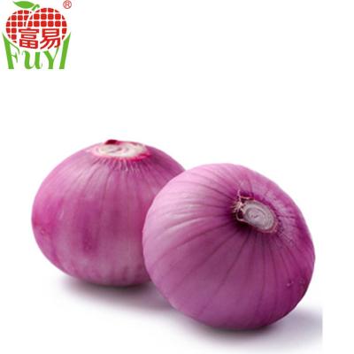 China Fresh cheap shallot from porfesstional chinese exporter for sale