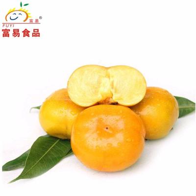 China China fresh fresh persimmon/the agricultural export persimmon/persimmon fruit for sale