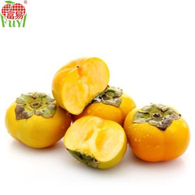 China Chinese fresh hard persimmon fruit on sale for sale