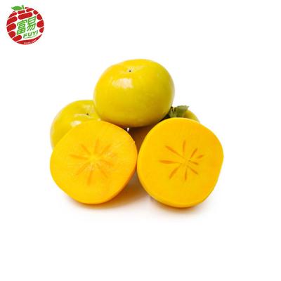 China Fresh Persimmon Fruit/Agricultural Export Persimmon/China Fresh Persimmon for sale