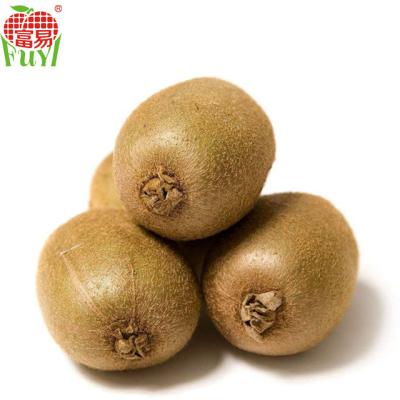 China fresh fresh kiwi fruit for export for sale